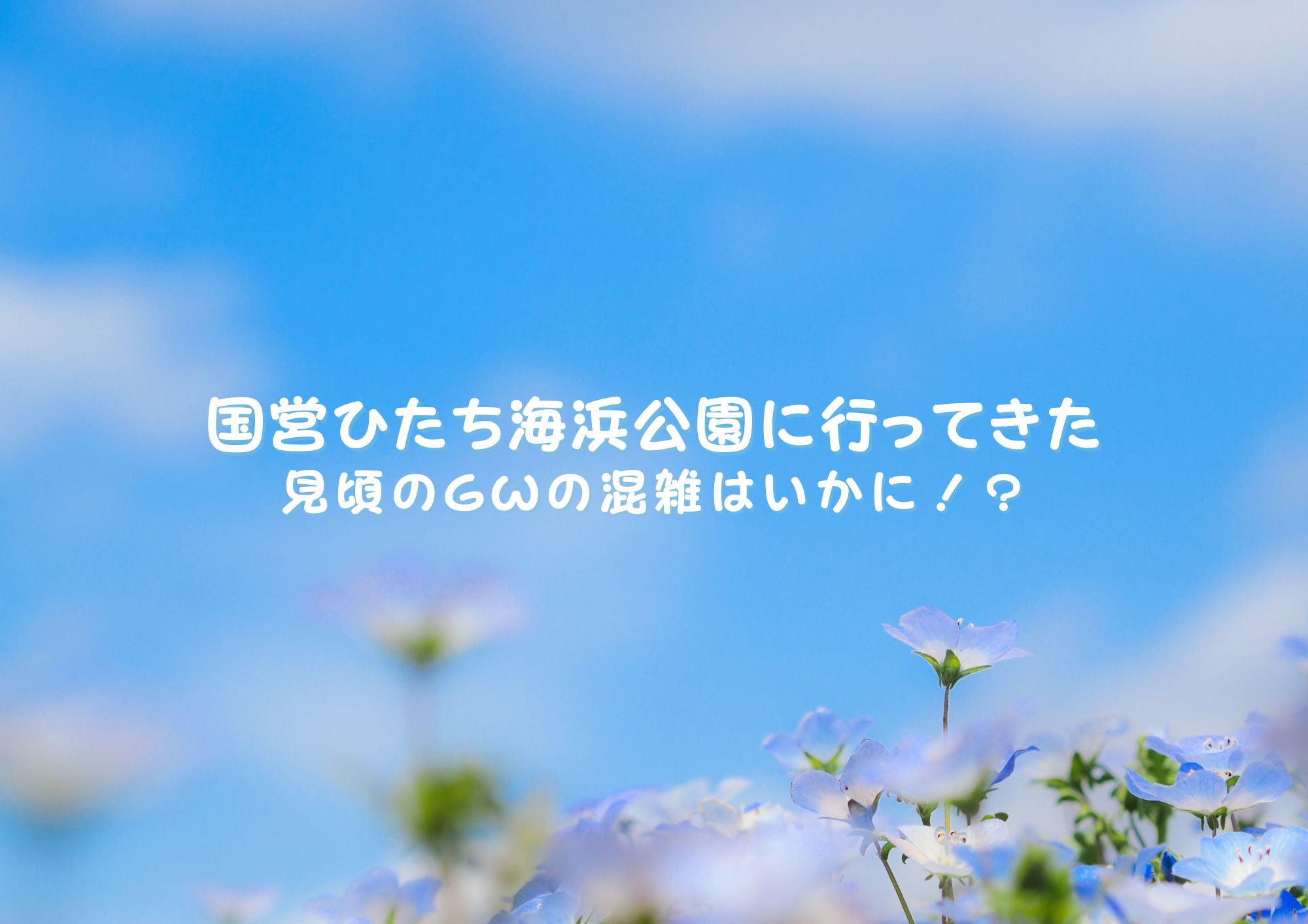 ネモフィラが大人気!国営ひたち海浜公園レビュー!見頃のGWは平日が穴場!