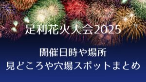 花火大会2025！足利花火大会の見どころは？開催時間や場所、アクセスや穴場スポットまとめ
